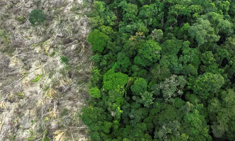 Dino dá prazo de 60 dias para Pantanal e Amazônia aderirem ao Sinaflor