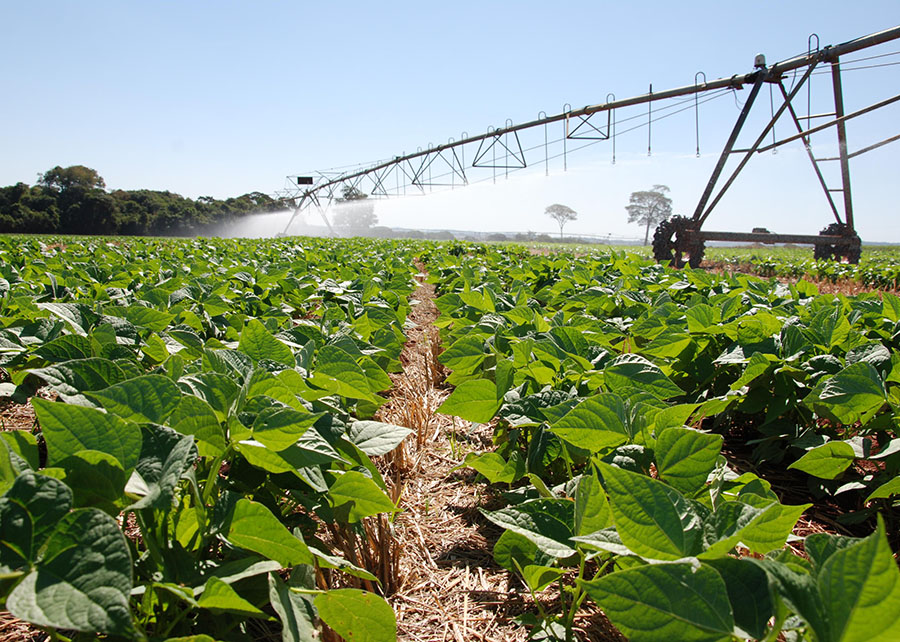 Novo mapa nacional mostra onde há maior potencial para a agricultura no Brasil