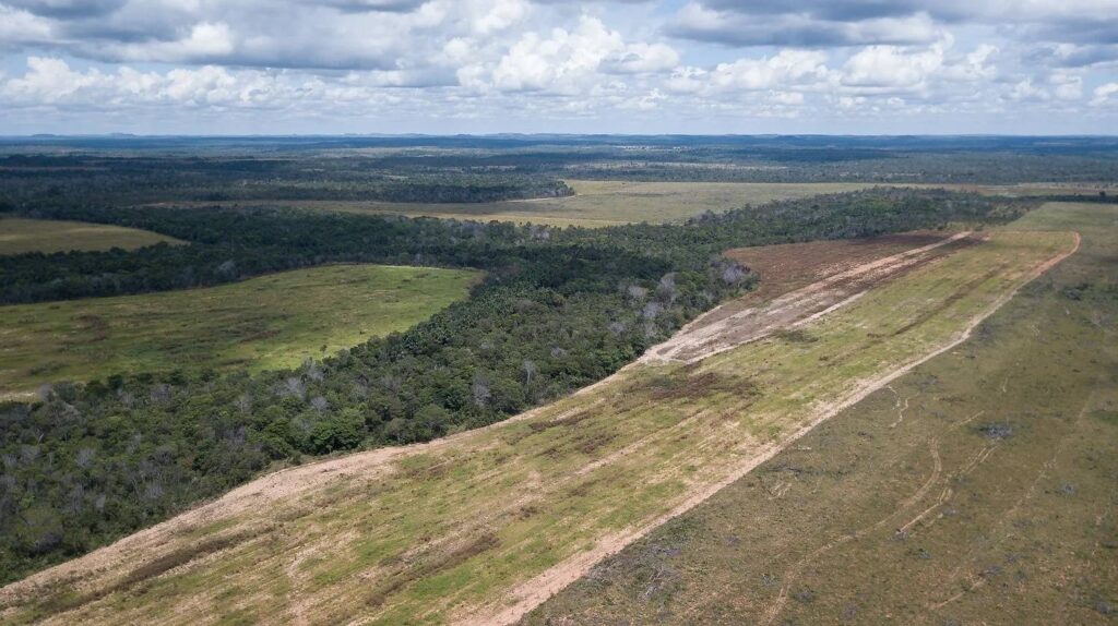 Fim da Moratória da Soja pode colocar 13 milhões de hectares de floresta em risco