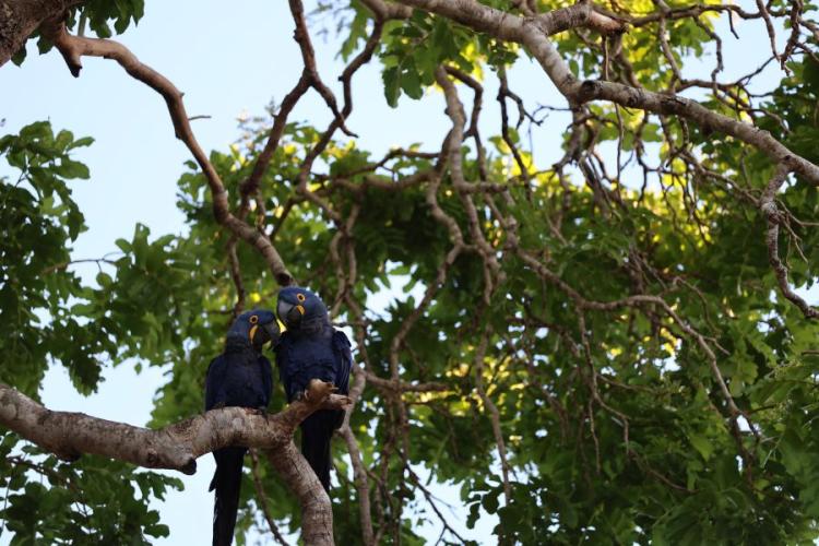 Segunda chamada do PSA Pantanal recebe inscrições até 6 de abril