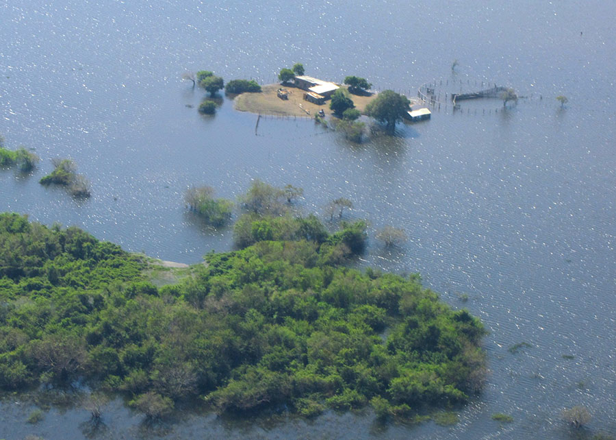 Cheia de 2026 no Pantanal fica abaixo da média histórica, segundo a Embrapa