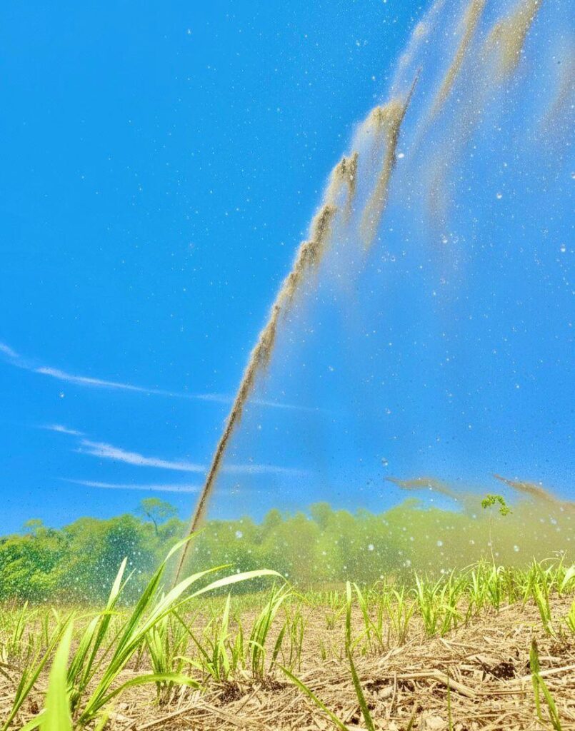 El Niño reforça a necessidade de adaptação permanente da agricultura às mudanças climáticas