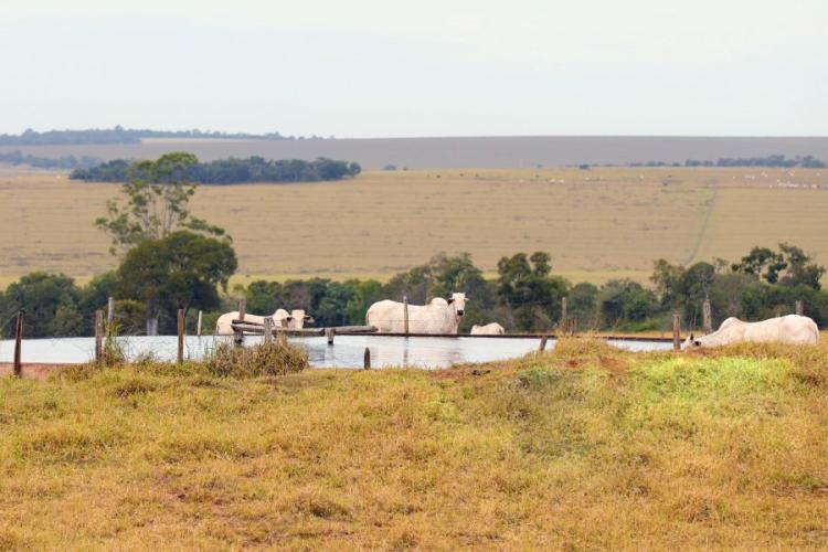 Produtor rural tem até o dia 17 para pagar o certificado de cadastro de sua fazenda
