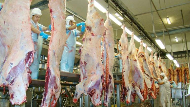 Tarifa dos EUA tem impacto menor que o esperado para o agro de MS, avalia a Famasul