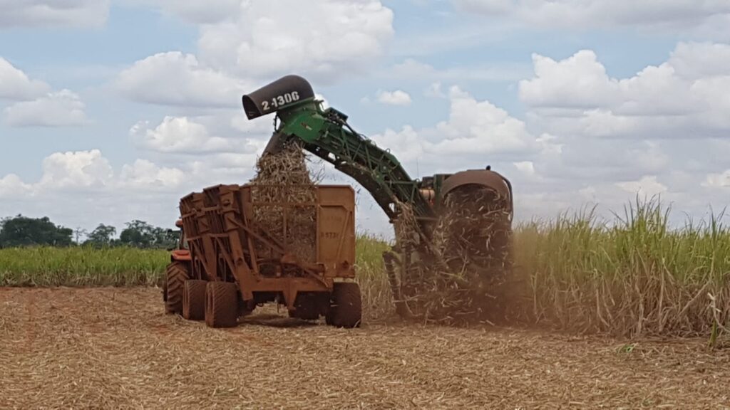 Brasil implementa novo método para calcular emissões de óxido nitroso provenientes da agropecuária