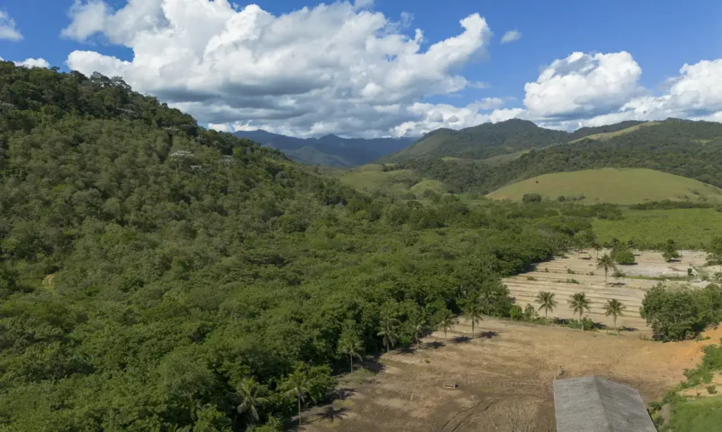 Agricultura ganha 11 milhões de hectares da Mata Atlântica em 41 anos