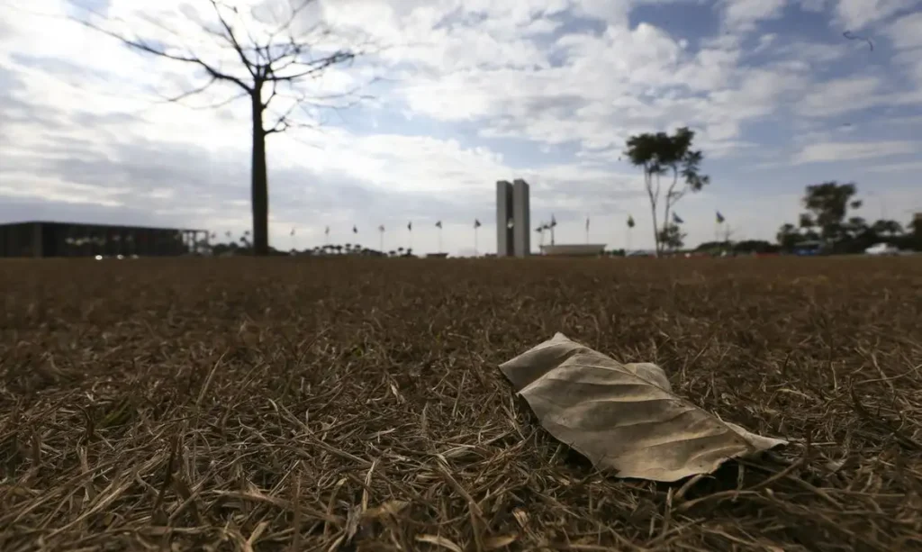 Aquecimento além de 1,5°C, anunciado pelas Nações Unidas, ameaça saúde, agricultura e economia