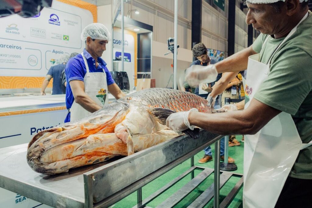 Os desafios e oportunidades no comércio internacional de pescado são debatidos na Seafood Show Latin America 2026